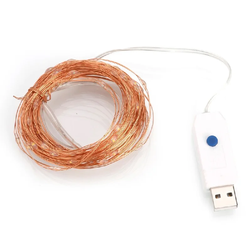 32.8FT 100 LEDs Waterproof USB Copper Wire Christmas Decoration String Light - N/A