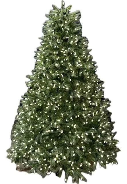 7.5' Ultra Lit LED Hawley Fir Dual Lit