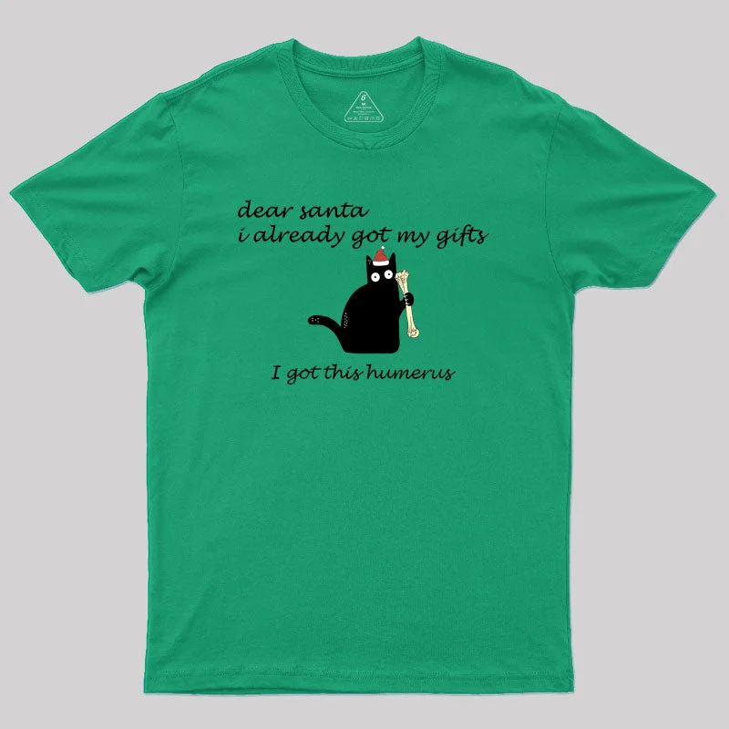 Dear Santa I Already Got My Gifts Geek T-Shirt