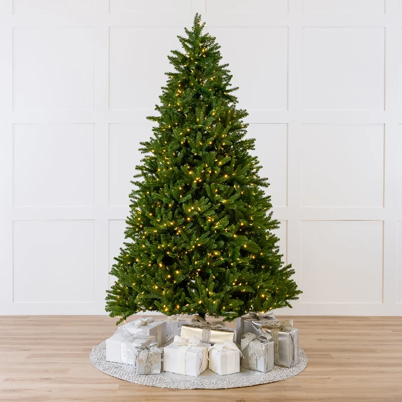 Royal Fir Tree Pre-Lit Warm White LED Lights