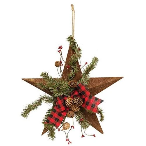 Rusty Metal Woodland Pine Star w Ribbon